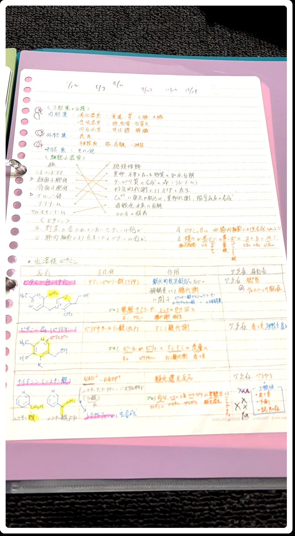 自作ノート生物ページ